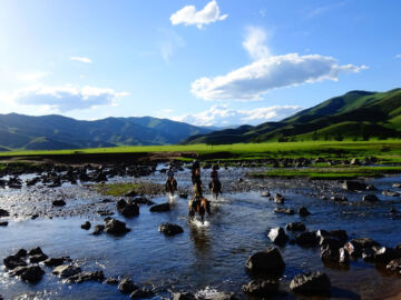 Saraa's Horse Trek Mongolia | Eight Lakes Trek